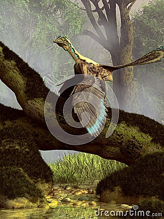 Archaeopteryx in a Forest Stock Photo