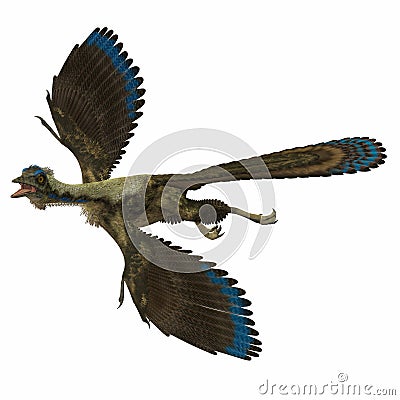 Archaeopteryx over White Stock Photo