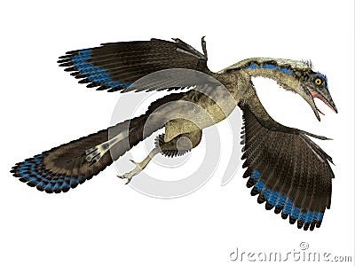 Archaeopteryx Reptile in Flight Stock Photo