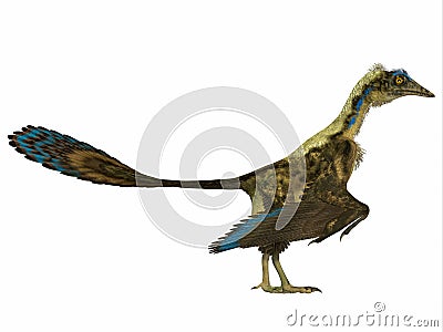 Archaeopteryx Side Profile Stock Photo