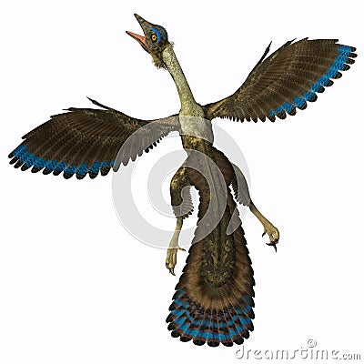 Archaeopteryx on White Stock Photo