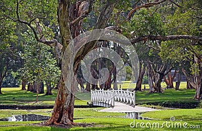 Arched white bridge over lake in parkland Stock Photo