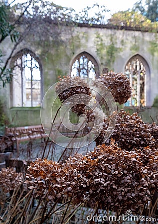 The ruins of St Dunstan in the East Church in the City of London UK. The historic church was bombed and destroyed in WW2. Stock Photo