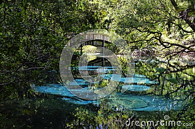 An arched wooden footbridge over the blue and emerald pools s. FL, USA Stock Photo