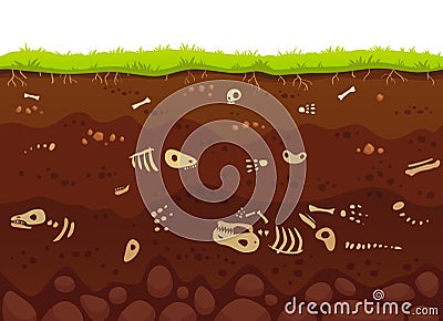 Archeology bones in soil layers. Buried fossil animals, dinosaur skeleton bone in dirt and underground clay layer vector Vector Illustration