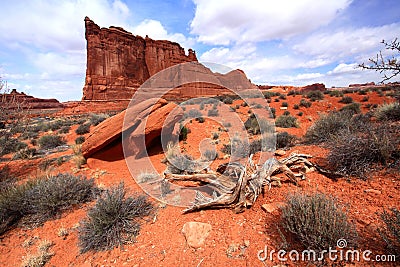 Arches National Park Stock Photo