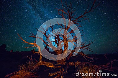 Milky way in Arches National Park in Utah Stock Photo