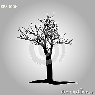 Architectonics of the crown of Norway maple. The structure of the tree branches and trunk of a rectangular shape. Vector drawing Stock Photo