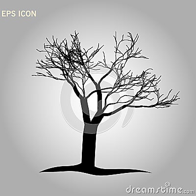 Architectonics of the crown of Norway maple. The structure of the tree branches and trunk of a rectangular shape. Vector drawing Stock Photo