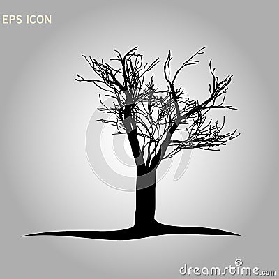 Architectonics of the crown of Norway maple. The structure of the tree branches and trunk of a rectangular shape. Vector drawing Stock Photo