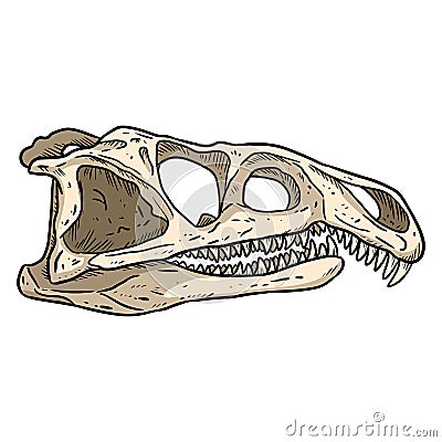 Archosaurus rossicus fossilized skull hand drawn sketch image. Carnivorous archosauriform reptile dinosaur fossil illustration Vector Illustration