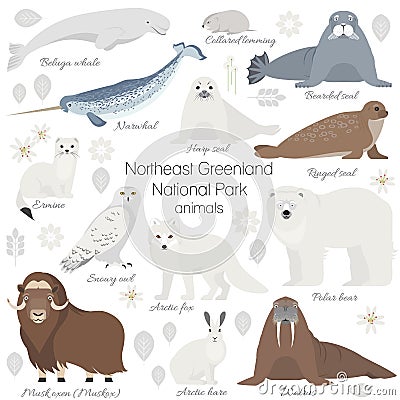 Arctic animal set. White polar bear, narwhal, whale, musk ox, seal, walrus, arctic fox, ermine, rabbit, arctic hare Vector Illustration