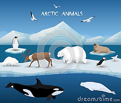 Arctic Animals Character and Background, Winter, Nature Travel and Wildlife Vector Illustration