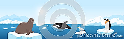 Arctic animals in seascape with iceberg and blue sea waters, funny penguin walrus seagull Vector Illustration