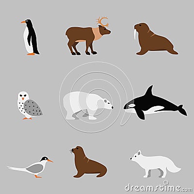 Arctic and antarctic animals set in flat vector Vector Illustration