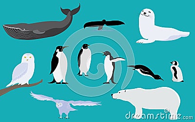 Arctic and Antarctica Animals Vector Illustration