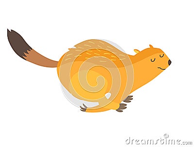 Arctic ground squirrel icon vector illustration Vector Illustration