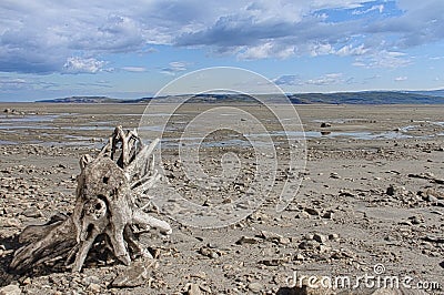 Arctic landscape Stock Photo