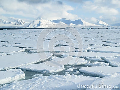 Arctic Ocean - pack ice on the sea surface Stock Photo