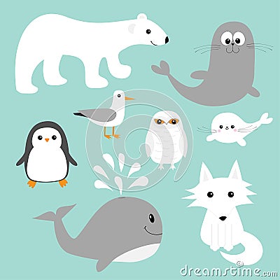 Arctic polar animal set. Vector Illustration