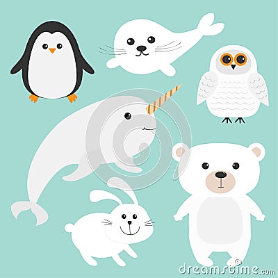 Arctic polar animal set. White bear, owl, penguin, Seal pup baby harp, hare, rabbit, narwhal, unicorn-fish. Kids education cards. Vector Illustration