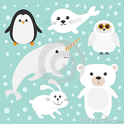 Arctic polar animal set. White bear, owl, penguin, Seal pup baby harp, hare, rabbit, narwhal, unicorn-fish. Kids education cards. Vector Illustration