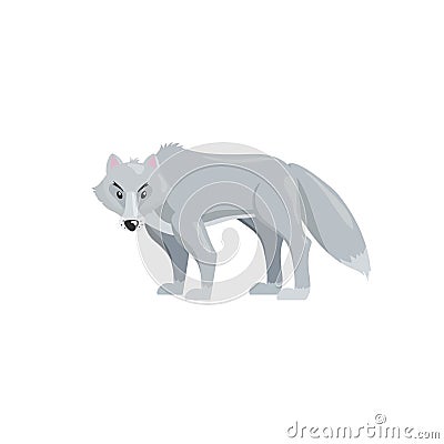 Arctic polar wolf. Cartoon flat style illustration of polar and arctic animal. Vector illustration for kids, education. Vector Illustration