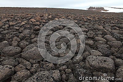 Arctic stone desert Stock Photo