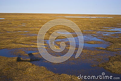 Arctic tundra from air Stock Photo