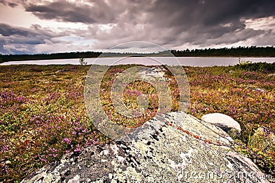 Arctic tundra and lake Stock Photo
