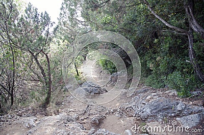 Nature lonely path to the hilltop Stock Photo