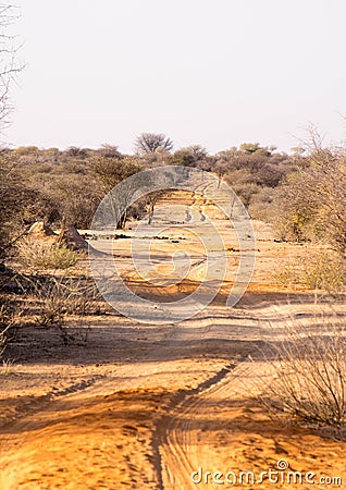 Arduous path, way on an bumpy safari road. Only passable with 4x4 vehicule, offroad in Namibia, africa Stock Photo