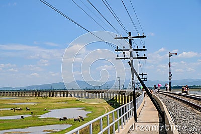 Area of Railroad tracks for travel train parked with floating railway bridge Stock Photo