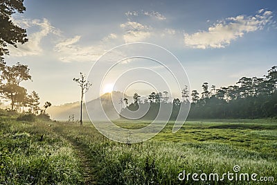 Area in Suoi Tia near Ho Tuyen Lam lake, Da Lat city, Vietnam Stock Photo