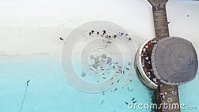 Areal view of maldives resort Editorial Stock Photo