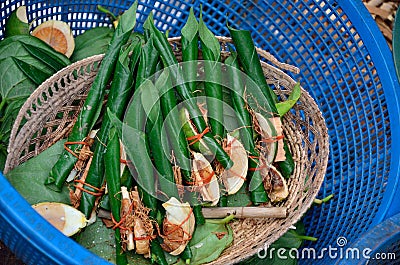 Areca nut, betel nut chewed with the leaf is mild stimulant Stock Photo