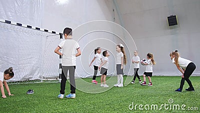 Arena interna do futebol Crianças que jogam o dodgeball Vista traseira video estoque Arena interna do futebol Crianças que jogam o dodgeball Vista traseira video estoque