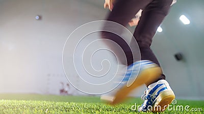 Arena interna do futebol Um rapaz pequeno que corre para a bola, toma-a nas mãos e na corrida afastado video estoque Arena interna do futebol Um rapaz pequeno que corre para a bola, toma-a nas mãos e na corrida afastado video estoque