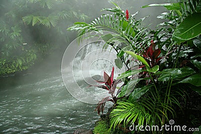 Arenal Hot Springs - Costa Rica Stock Photo