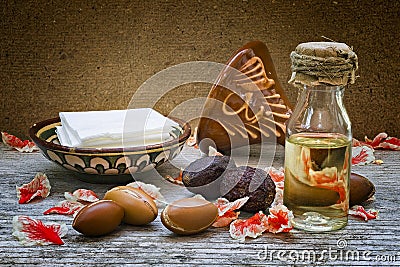 Argan fruit (Argania spinosa), nuts and oil, this seeds is used Stock Photo