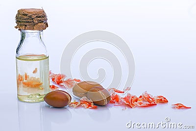 Argan fruit (Argania spinosa), nuts and oil on white background Stock Photo