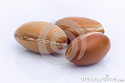 Argan fruit (Argania spinosa), nuts on white background , this s Stock Photo