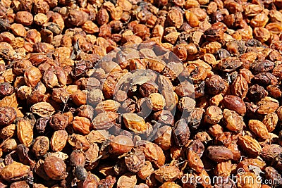 Argan Fruit Stock Photo