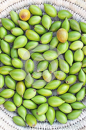 Argan nuts in basket. Stock Photo