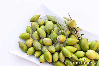 Argan nuts in a white plate. Stock Photo