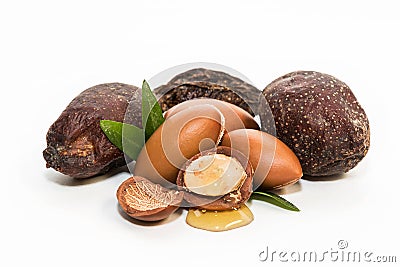 Argan seeds Stock Photo