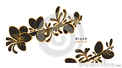 Argan plant. Vector graphic template. Organic oil Vector Illustration