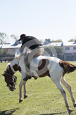 Argentina, Gaucho -cowboy-rodeo-riding on a wild horse in a patron saint festival in South America, has also been Editorial Stock Photo