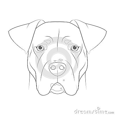 Argentinian Dogo dog easy coloring cartoon vector illustration. Isolated on white background Vector Illustration