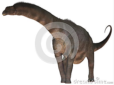 Argentinosaurus over White Stock Photo